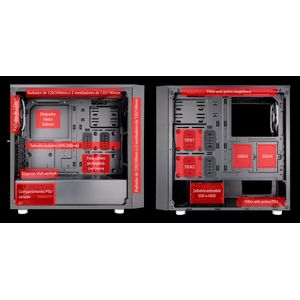 TAL-AURIGA-Galeria-5