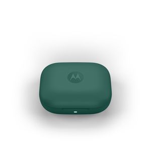 PG38C07951-Galeria-7