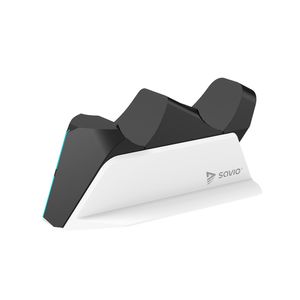 SAVGGCS-01-Galeria-1