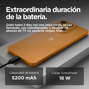 PB6E0019ES-Galeria-8