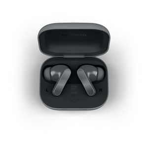 PG38C07949-Galeria-10