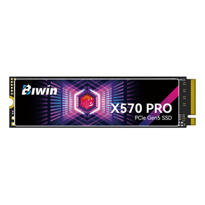 DISCO-DURO-SSD-2000GB-M.2--BIWIN-X570Pro-14000MB-s-PCI-Express-5.0-NVMe