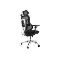 Miniatura 3 de SILLA DE OFICINA ERGONOMICA EQUIP 651053 PREMIUM COLOR NEGRO TAPICERIA MALLA 5 POSICIONES