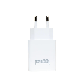 iggual-Cargador-de-pared-1xUSB-5V-2.4A--12W-