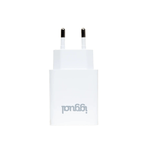 iggual-Cargador-de-pared-1xUSB-5V-2.4A--12W-