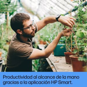 3G629F-B19-Galeria-8