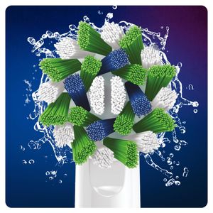 EB50-6-CROSS-ACTION-Galeria-4