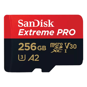Ext-PRO-microSDXC-256GB-SD-200MB-s