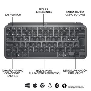 920-010490-Galeria-12