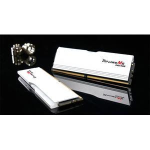 F5-6000J3636F16GX2-RM5NRW-Galeria-4
