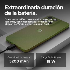 PB6E0028ES-Galeria-15