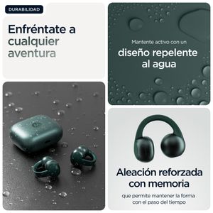 PG38C07165-Galeria-16