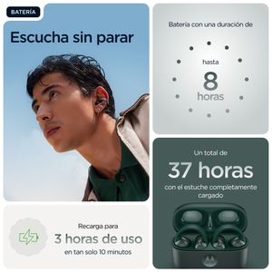 PG38C07165-Galeria-17