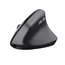 MOUSE-TRUST-TM-270-ERGONOMICO-INALAMBRICO-CON-ANGULO-VERTICAL-PARA-PROTEGER-LA-MU--ECA-25371