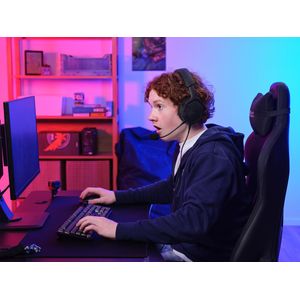 25447-Galeria-10