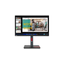 MONITOR-LENOVO-ThinkVision-P24q-30--ThinkVision-23.8--IPS-2560-x-1440-HDMI