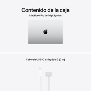 MGDN4Y-A-Galeria-9