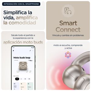 PG38C07172-Galeria-13