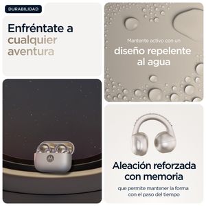 PG38C07172-Galeria-16