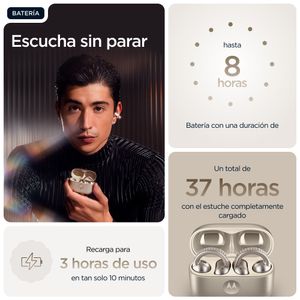 PG38C07172-Galeria-17