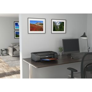 6875C009-Galeria-10