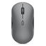 MICE_BO 700 MULTI WL S MOUSE GREY