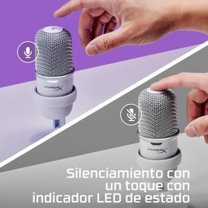 519T2AA-Galeria-10
