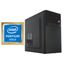 Ordenador Netway Free Pentium Gold G6405 4,1GHz/8GB DDR4 2666MHz/240GB SSD/FREEDOS