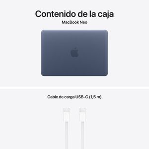 MHFF4Y-A-Galeria-10