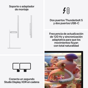 MFEL4YP-A-Galeria-2