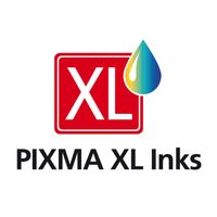 Miniatura 6 de VALUE PACK CANON PG-545XL / CL546XL + GP501 PHOTO