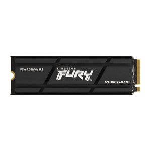 1000G-FURY-RENEGADE-W--HEATSINKPCIE-4.0-NVME-S-SD