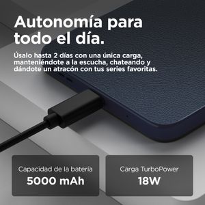 PBA10007ES-Galeria-10