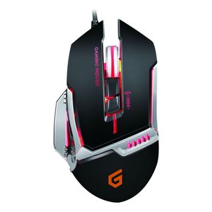 DJEBBEL02B-Galeria-2