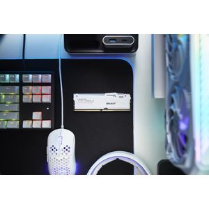 KF560C36BWE2A-16-Galeria-8