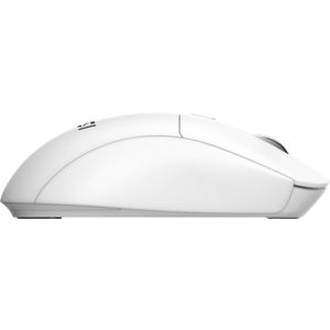 S11-43ES311-Y92-Galeria-17