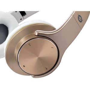 CHSPBTNFCSPKG-Galeria-3