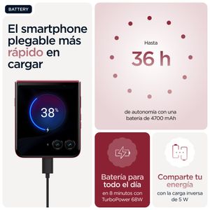 PB8R0005SE-Galeria-34