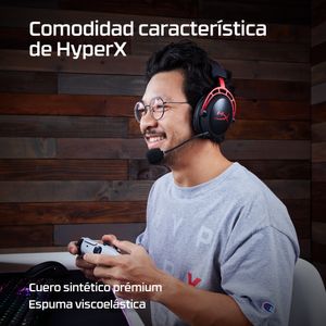 4P5D4AA-Galeria-4