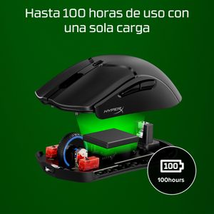 7D388AA-Galeria-7