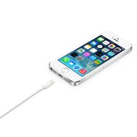 Miniatura 5 de LIGHTNING TO USB CABLE (2 M)