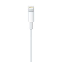 Miniatura 6 de LIGHTNING TO USB CABLE (2 M)