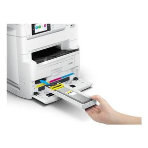 C11CL32401-Galeria-2
