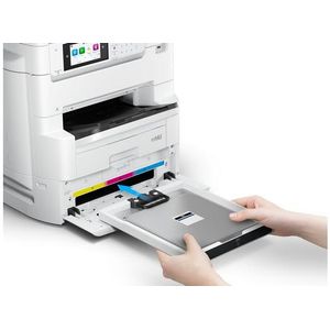 C11CL32401-Galeria-4