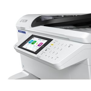 C11CL31401-Galeria-3
