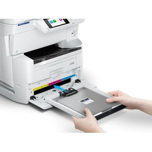 C11CL31401-Galeria-4