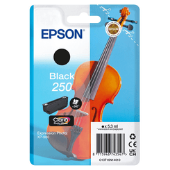 EPSON Singlepack Black 250 ink
