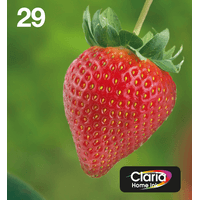 MULTIPACK 29 EASYMAIL 4 COLORES