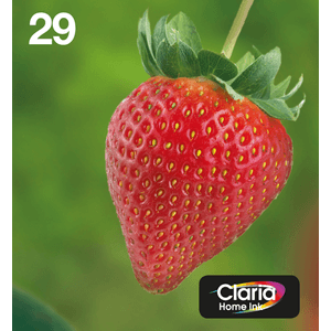 MULTIPACK-29-EASYMAIL-4-COLORES