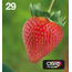 MULTIPACK-29-EASYMAIL-4-COLORES